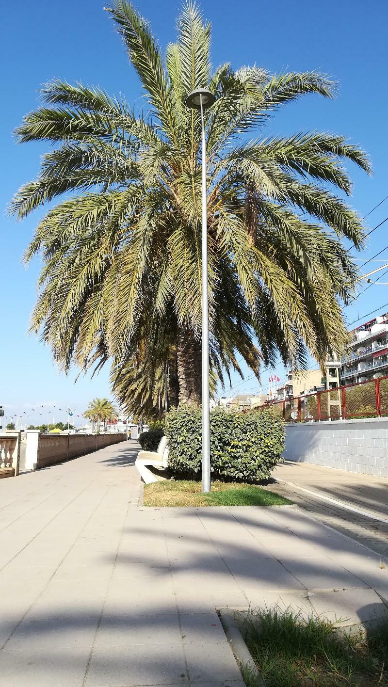 Terrassa De Mar Apartment ماسنو المظهر الخارجي الصورة